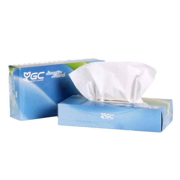 PAÑUELO FACIAL GC  100uds     F283101   (c/80)